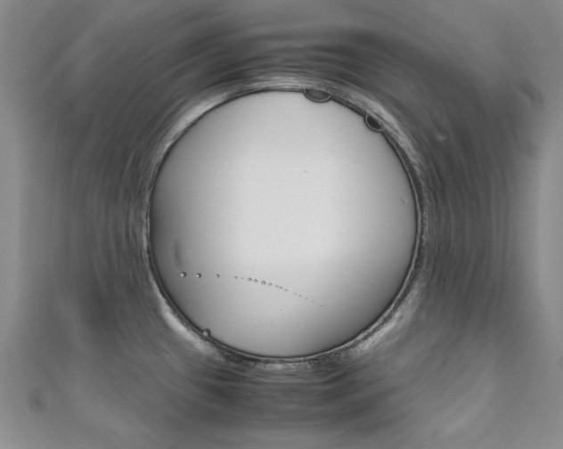 X0000111651433200907171049