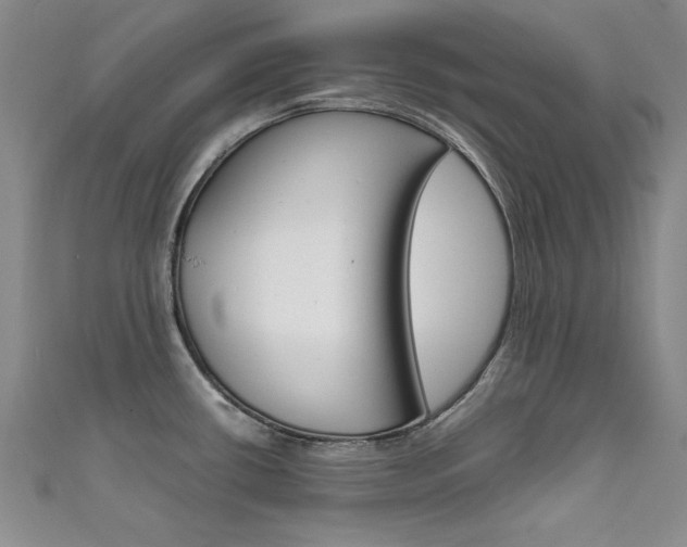 X0000111651434200907171049