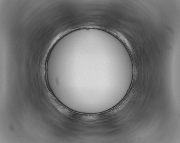 X0000111651435200907171049