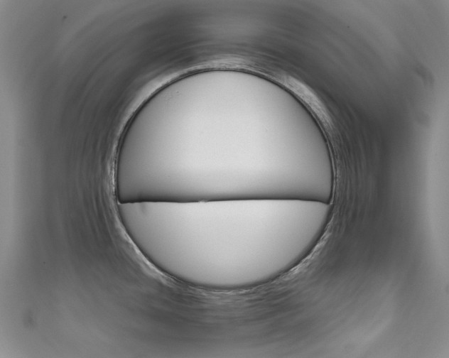 X0000111651436200907171050