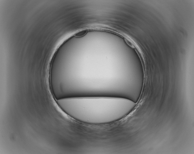 X0000111651437200907171050