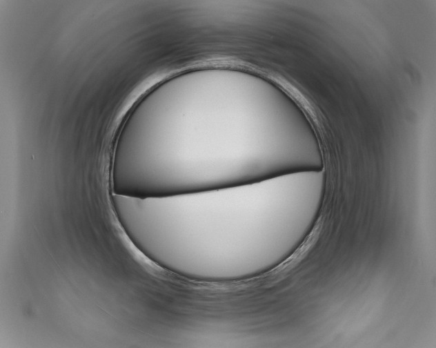 X0000111651438200907171050