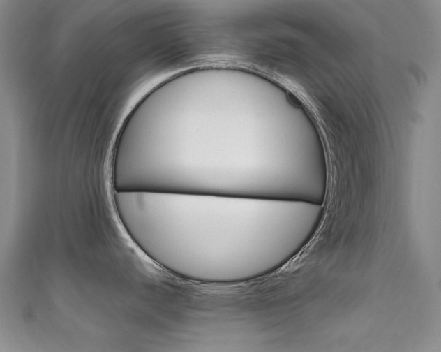 X0000111651440200907171050
