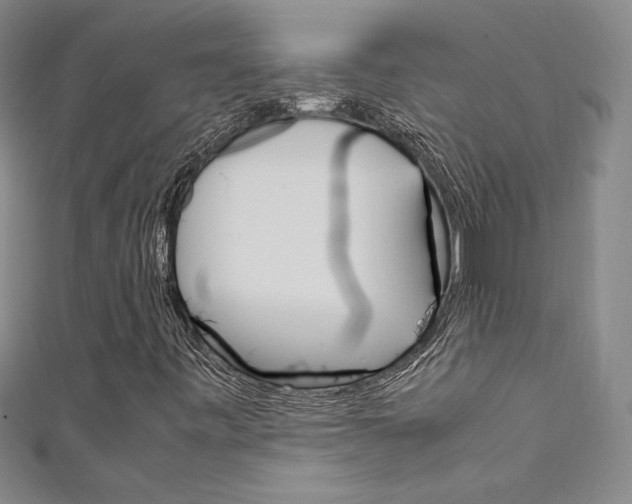 X0000111651443200907171049