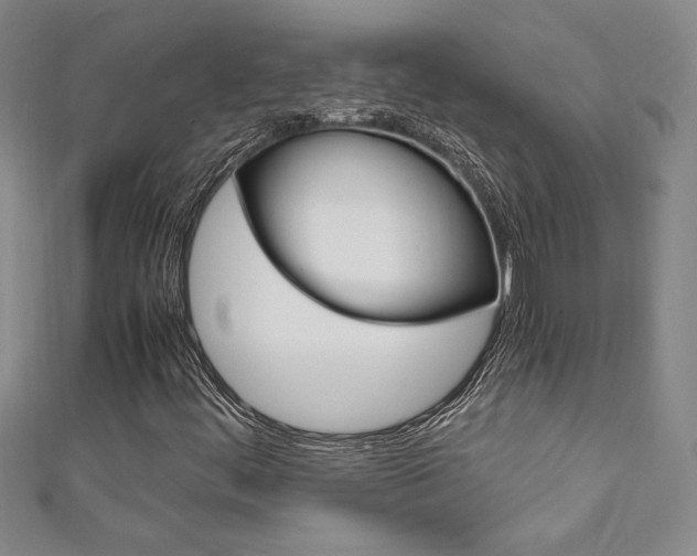 X0000111651444200907171049
