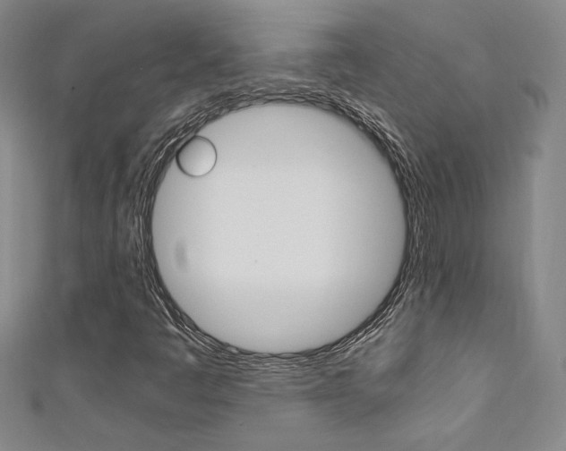 X0000111651445200907171049