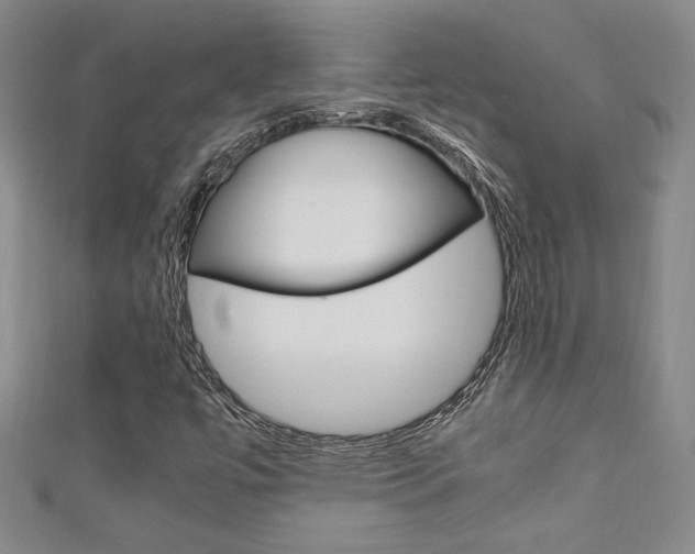 X0000111651447200907171049