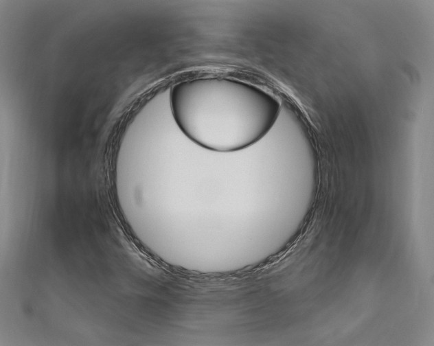 X0000111651448200907171049