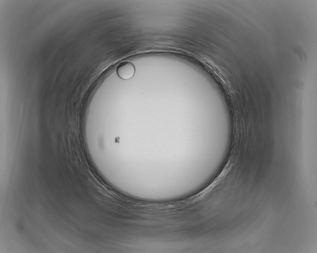 X0000111651449200907171049