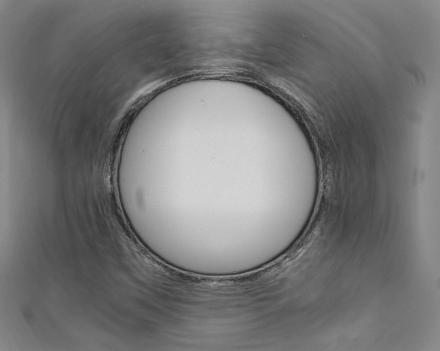 X0000111651451200907171049