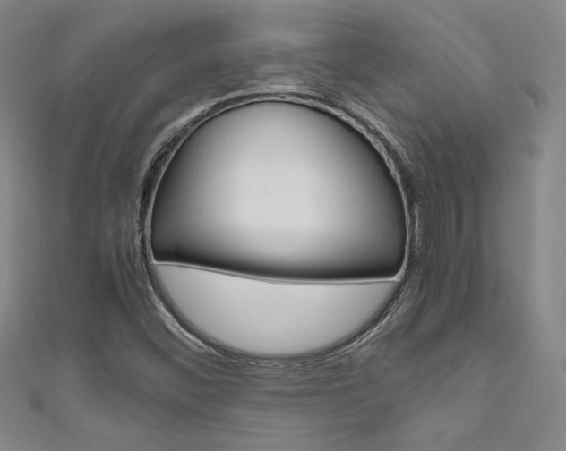 X0000111651452200907171049