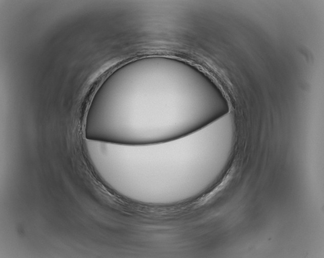 X0000111651453200907171049