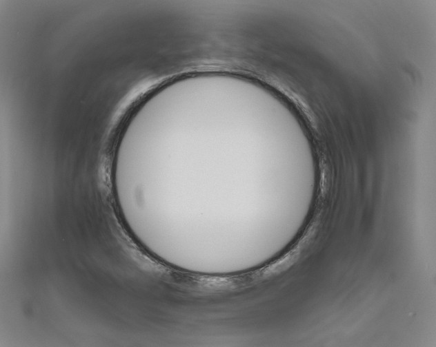X0000111651454200907171049