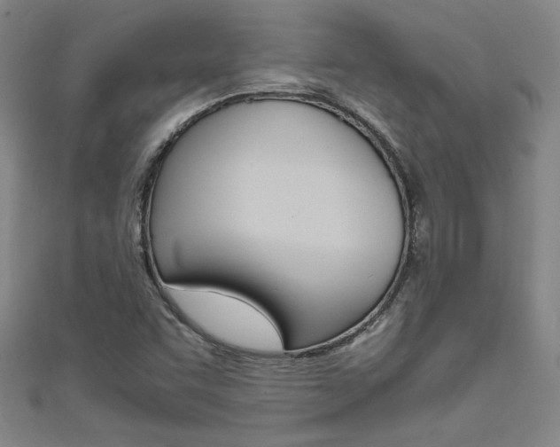 X0000111651455200907171049