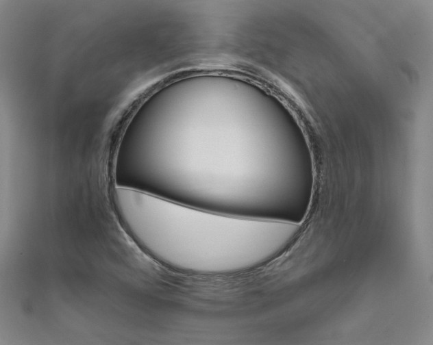 X0000111651456200907171049