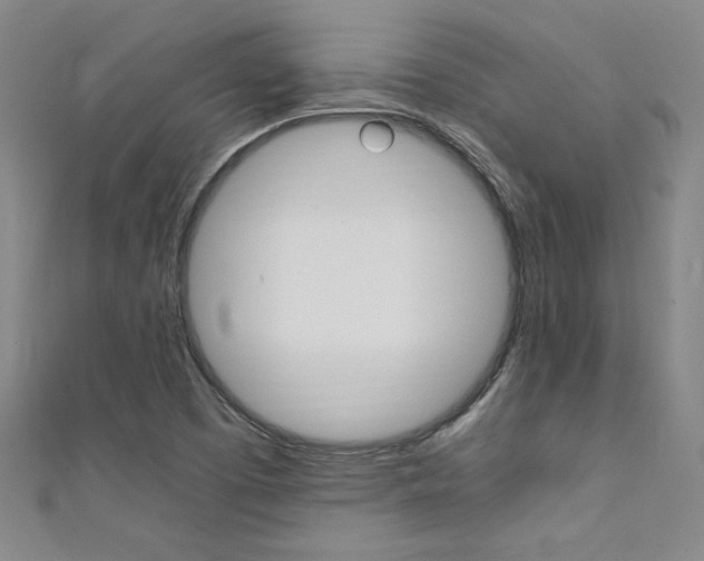 X0000111651457200907171049