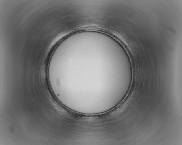 X0000111651458200907171049