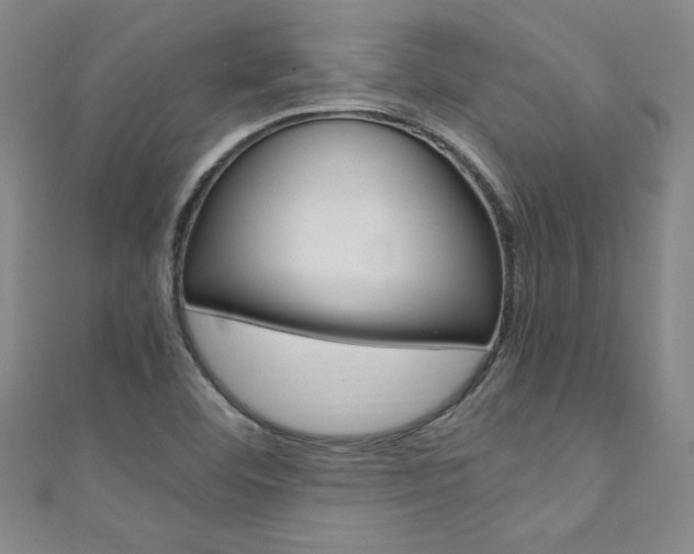X0000111651460200907171049