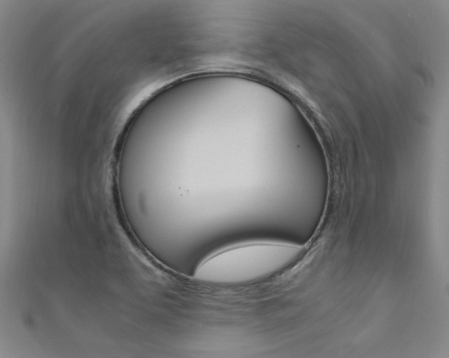 X0000111651463200907171049