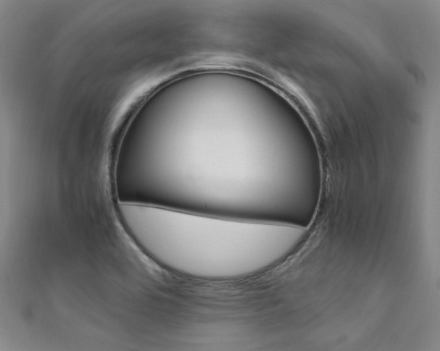 X0000111651464200907171049