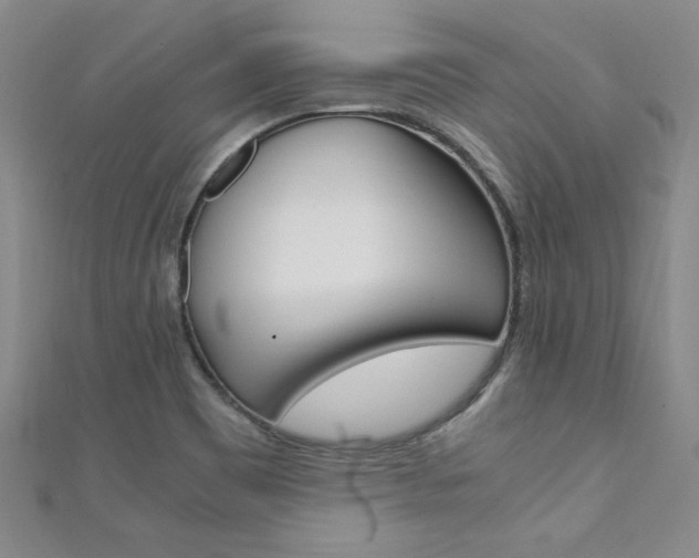 X0000111651465200907171049