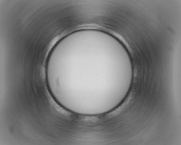 X0000111651466200907171049