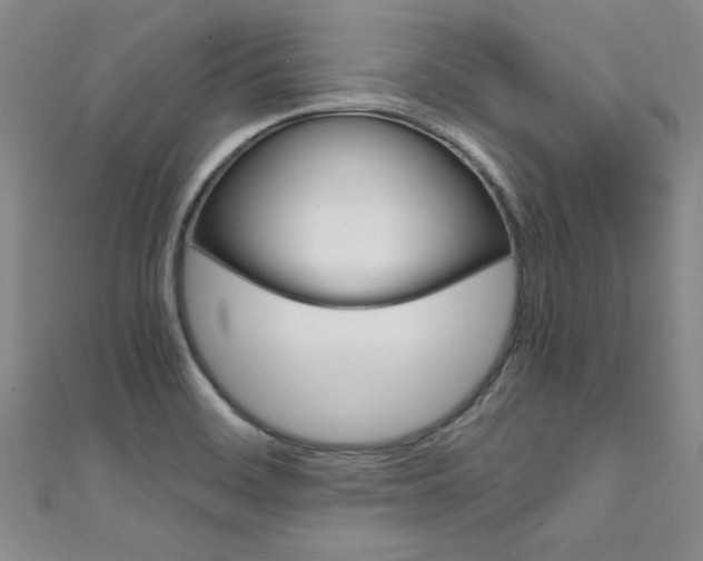 X0000111651468200907171049
