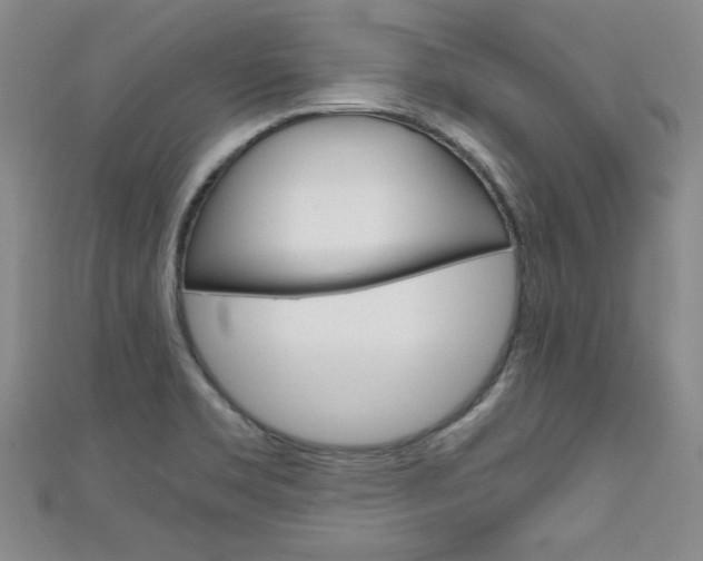X0000111651469200907171049