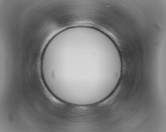 X0000111651470200907171049