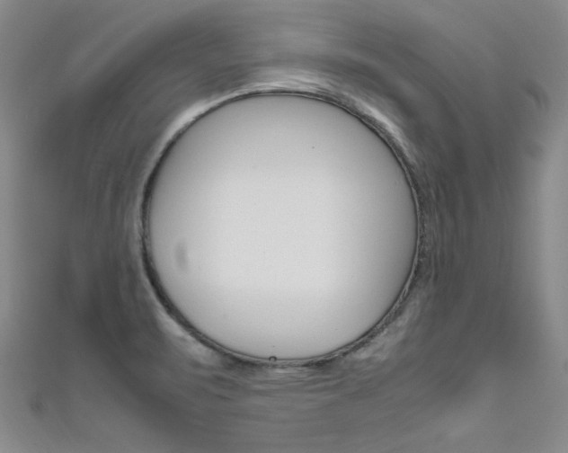 X0000111651471200907171049