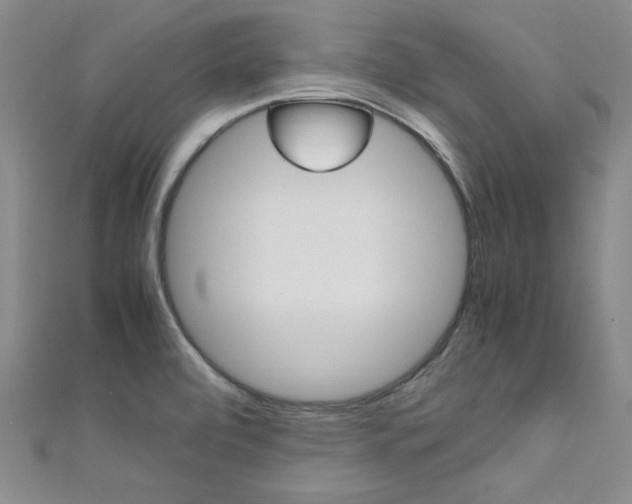 X0000111651472200907171049