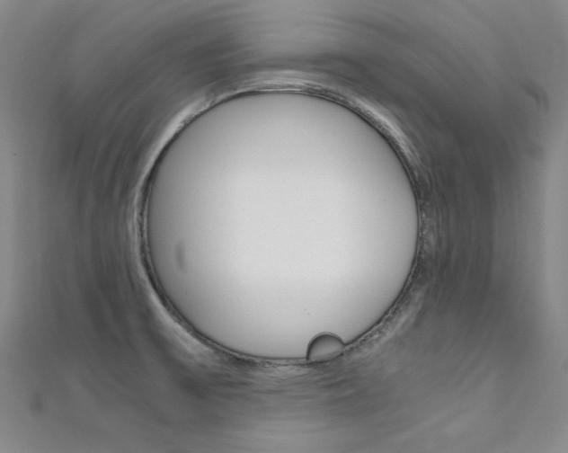 X0000111651475200907171049