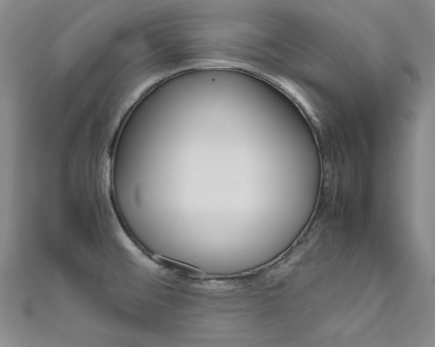 X0000111651476200907171049