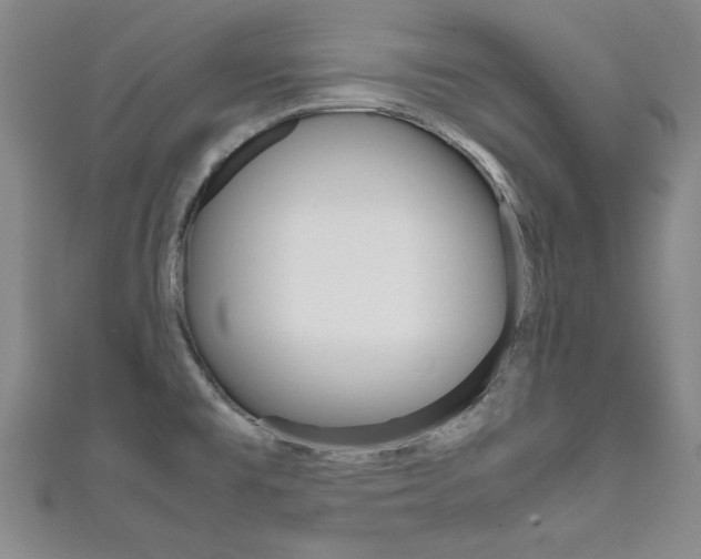 X0000111651477200907171048