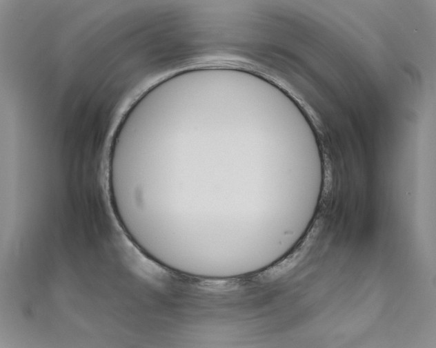 X0000111651478200907171048