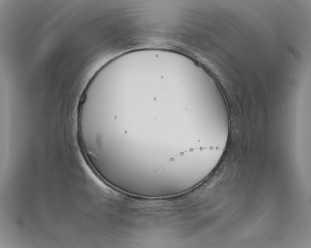 X0000111651479200907171048