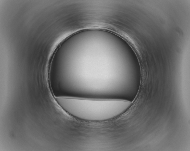X0000111651480200907171048
