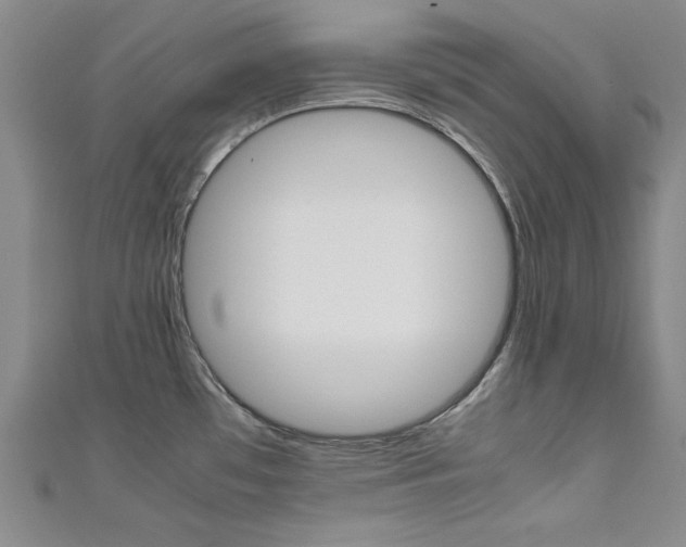 X0000111651481200907171048