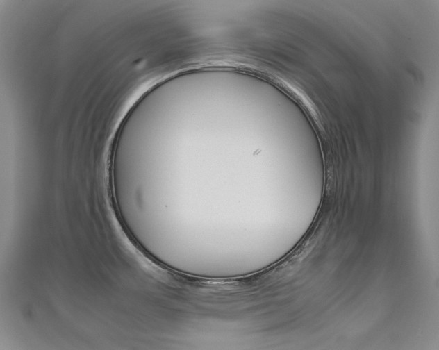 X0000111651483200907171048