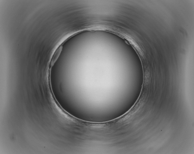 X0000111651484200907171048