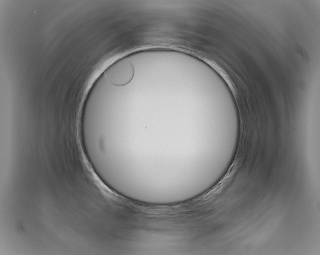 X0000111651485200907171048