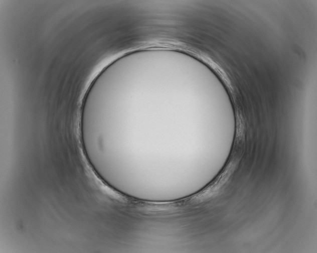 X0000111651486200907171048
