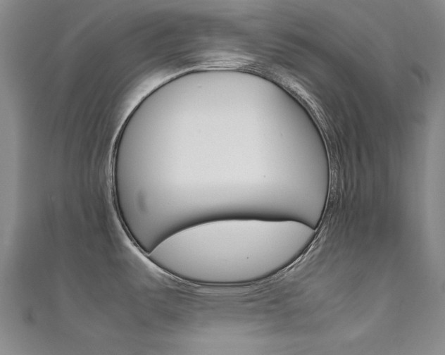 X0000111651487200907171048