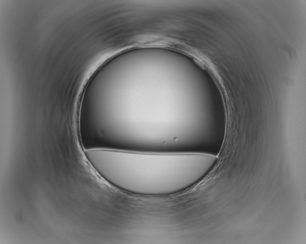 X0000111651488200907171048