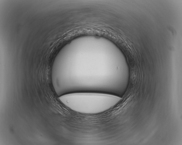 X0000111651490200907171048