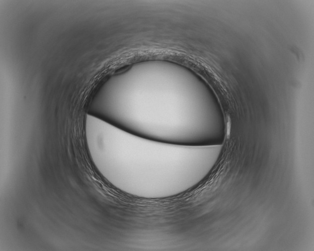 X0000111651492200907171048