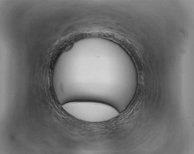 X0000111651493200907171048