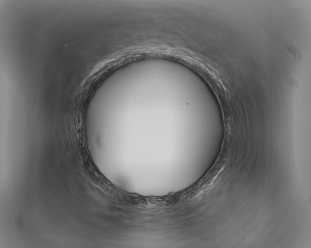 X0000111651494200907171048