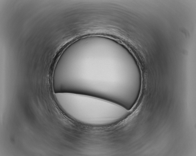 X0000111651497200907171048