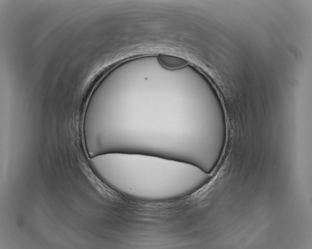 X0000111651499200907171048